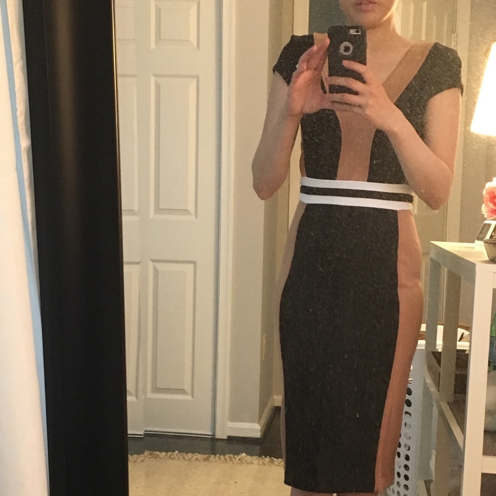 H&M Fitted Dress BNWT size small.